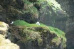 PICTURES/Storhofoa Peninsula and  Lighthouse/t_Penninsula (22).JPG